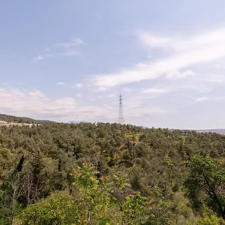 Forest 公寓 塞萨洛尼基